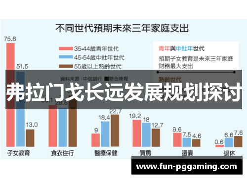 弗拉门戈长远发展规划探讨