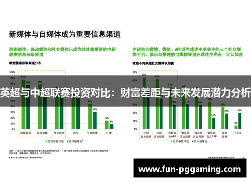英超与中超联赛投资对比：财富差距与未来发展潜力分析