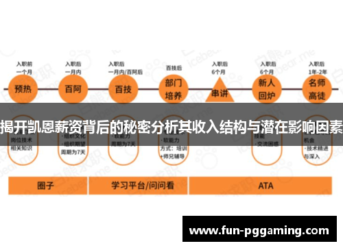 揭开凯恩薪资背后的秘密分析其收入结构与潜在影响因素