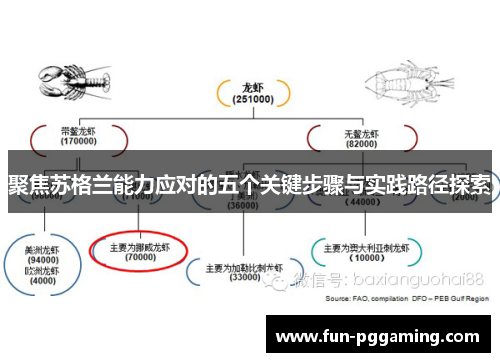 聚焦苏格兰能力应对的五个关键步骤与实践路径探索