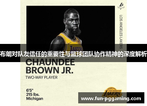布朗对队友信任的重要性与篮球团队协作精神的深度解析