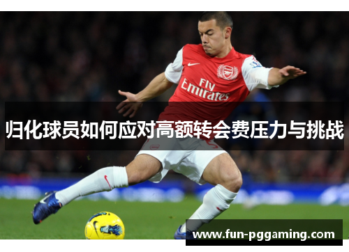 归化球员如何应对高额转会费压力与挑战