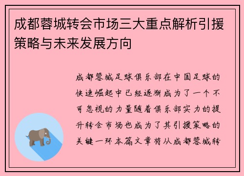 成都蓉城转会市场三大重点解析引援策略与未来发展方向